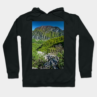 Limestone mountains Hoodie